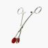 Stainless Steel Young Forceps with Rubber Tips